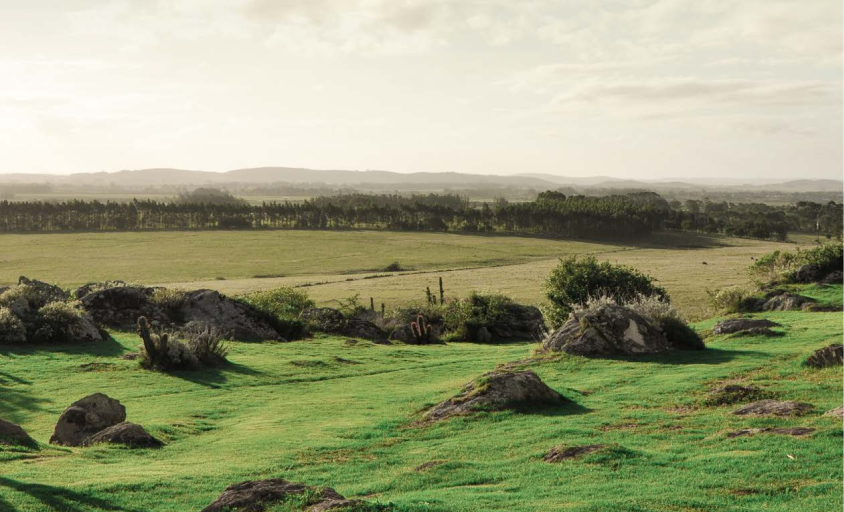 Private Farm Estates