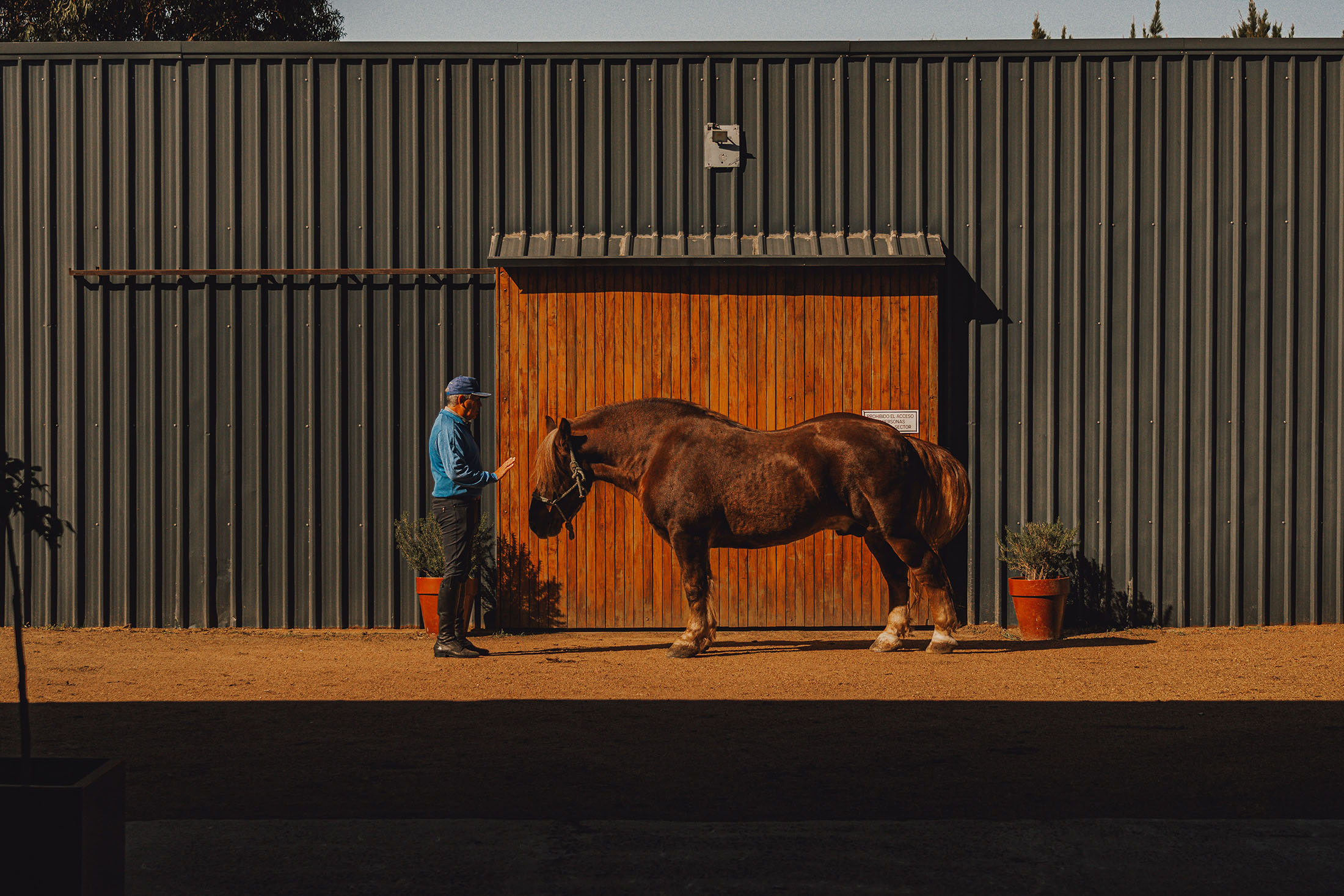 Centro Equestre